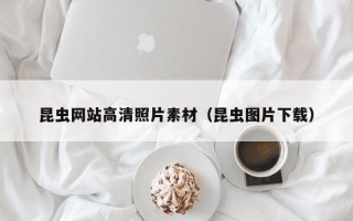 项城昆虫网站高清照片素材（昆虫图片下载）